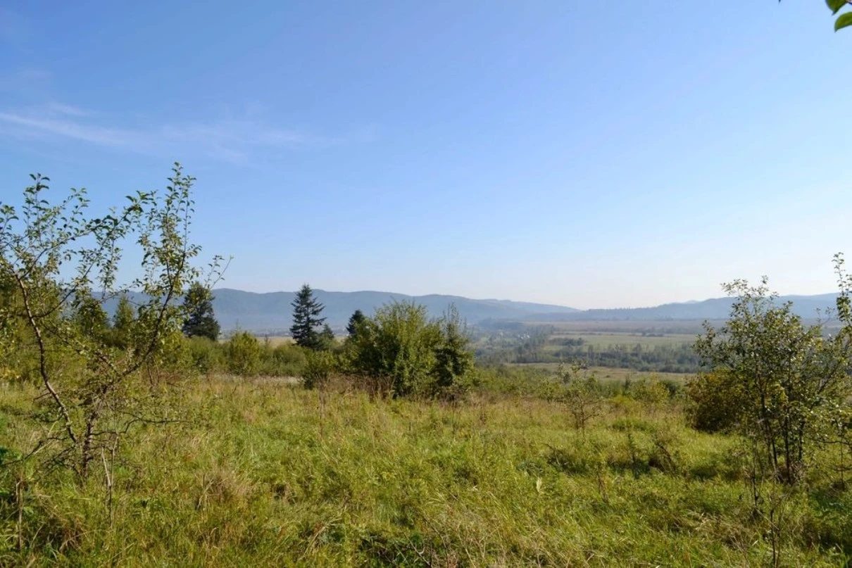 Land for sale for residential construction. Korchyn. 