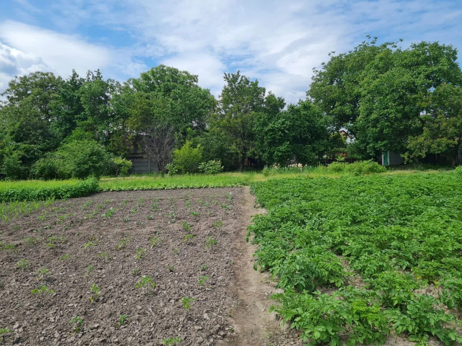 Продаж землі під житлову забудову. 7, Чорторийська вул., Київ. 