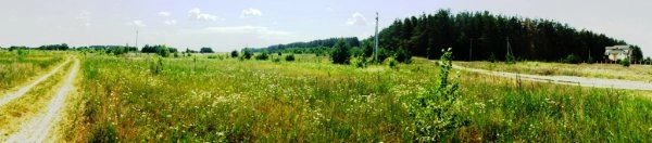 Land for sale for residential construction. Berezovka. 