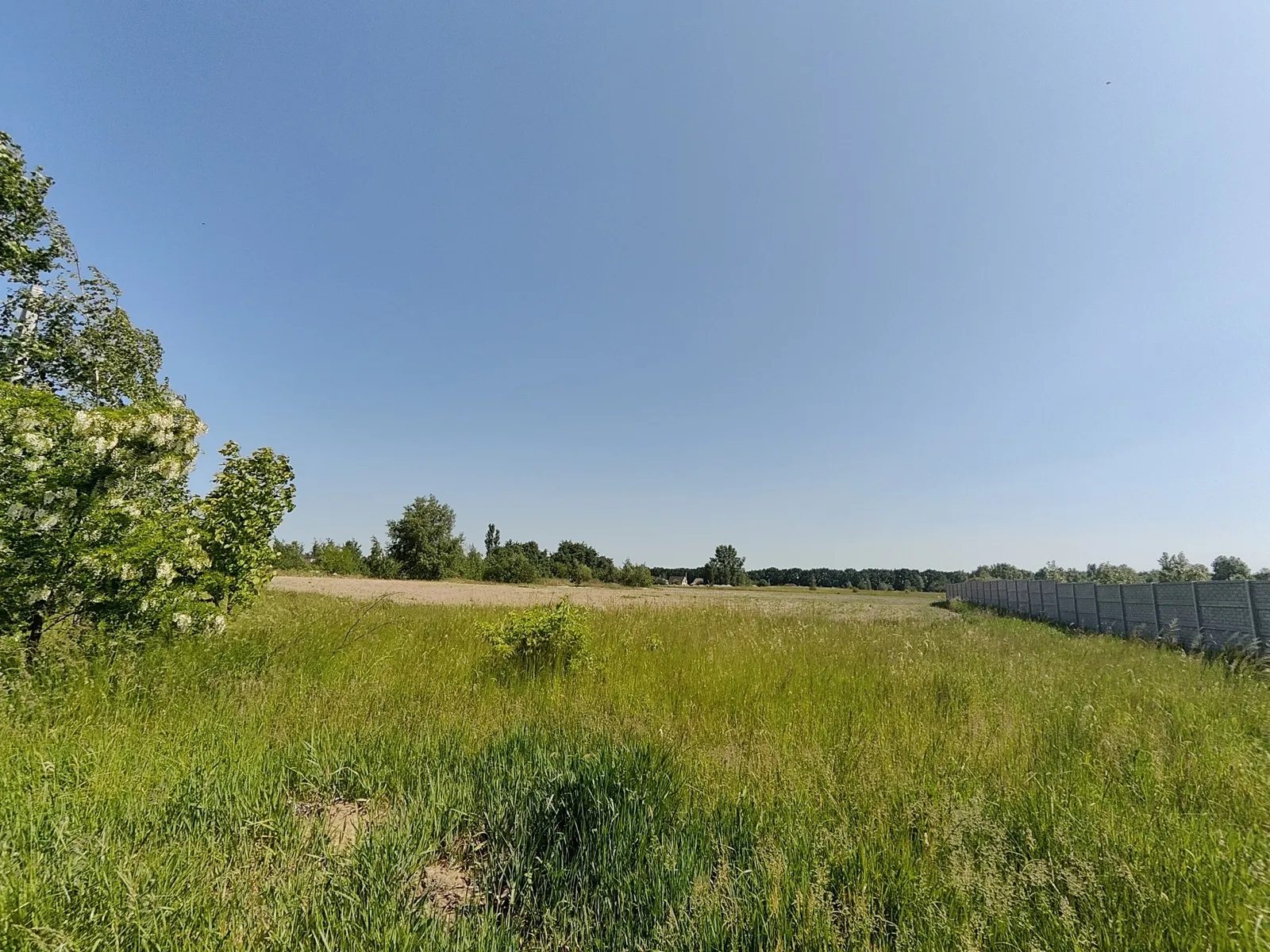 Land for sale for residential construction. Sadova , Hvozdiv. 