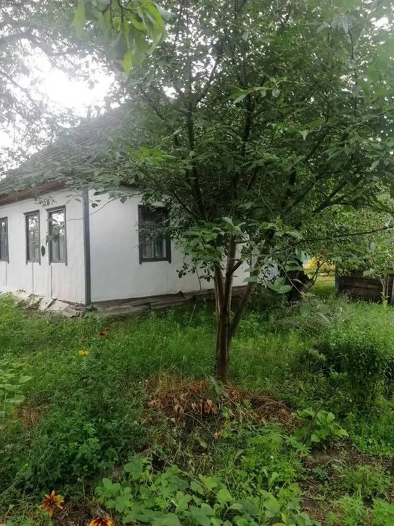 Продам будинок смт Кодра