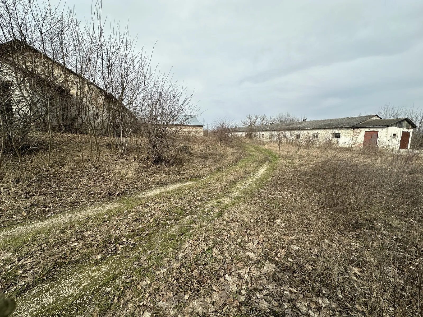 Продаж землі під житлову забудову. Тернопільська , Великий Глубочек. 