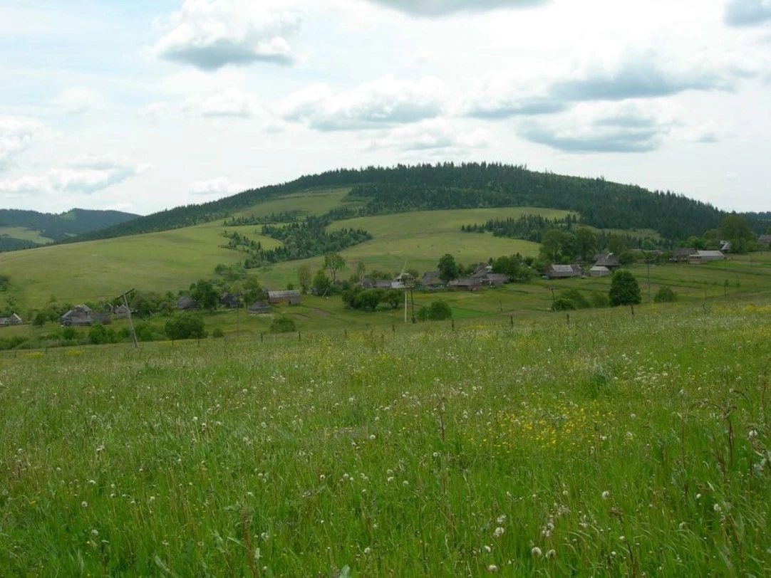 Agricultural land for sale for private use. Verkhnye. 