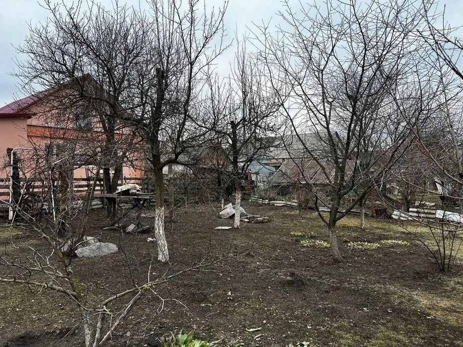 Продам будинок в селі Людвинівка
