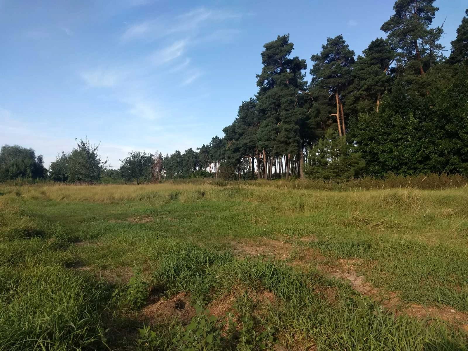 Land for sale for residential construction. S. Dernivka, vul. Hayova, Baryshivka. 