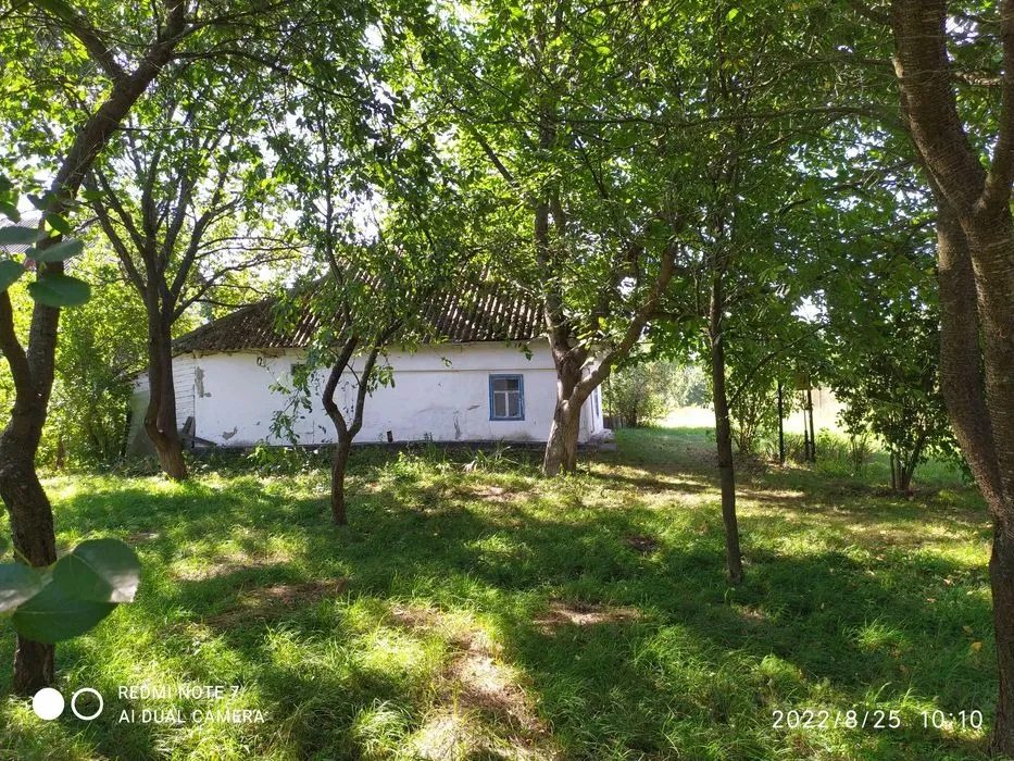 Продам дом в селе Малая Старица Бориспольский район