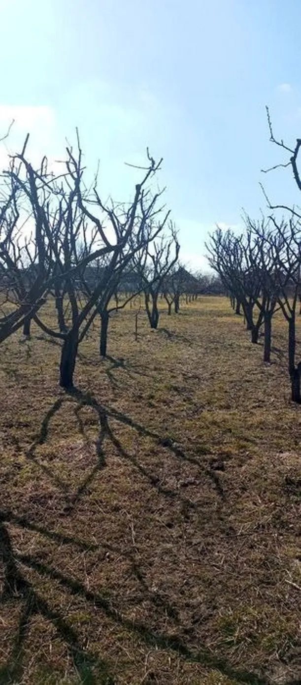 Продам дом в пригороде, + постройки, Киевский обл., Яготинский район