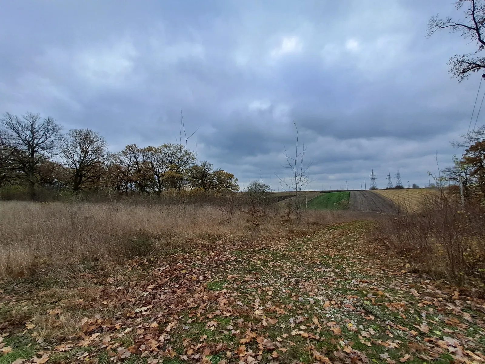 Land for sale for residential construction. Velykye Hay. 