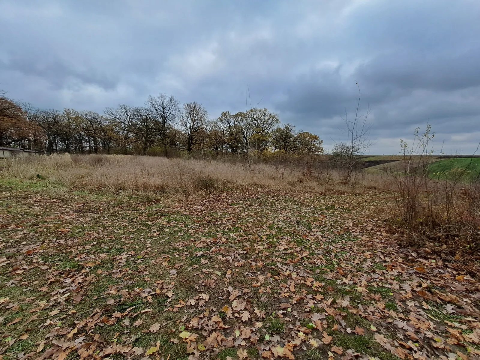 Land for sale for residential construction. Velykye Hay. 