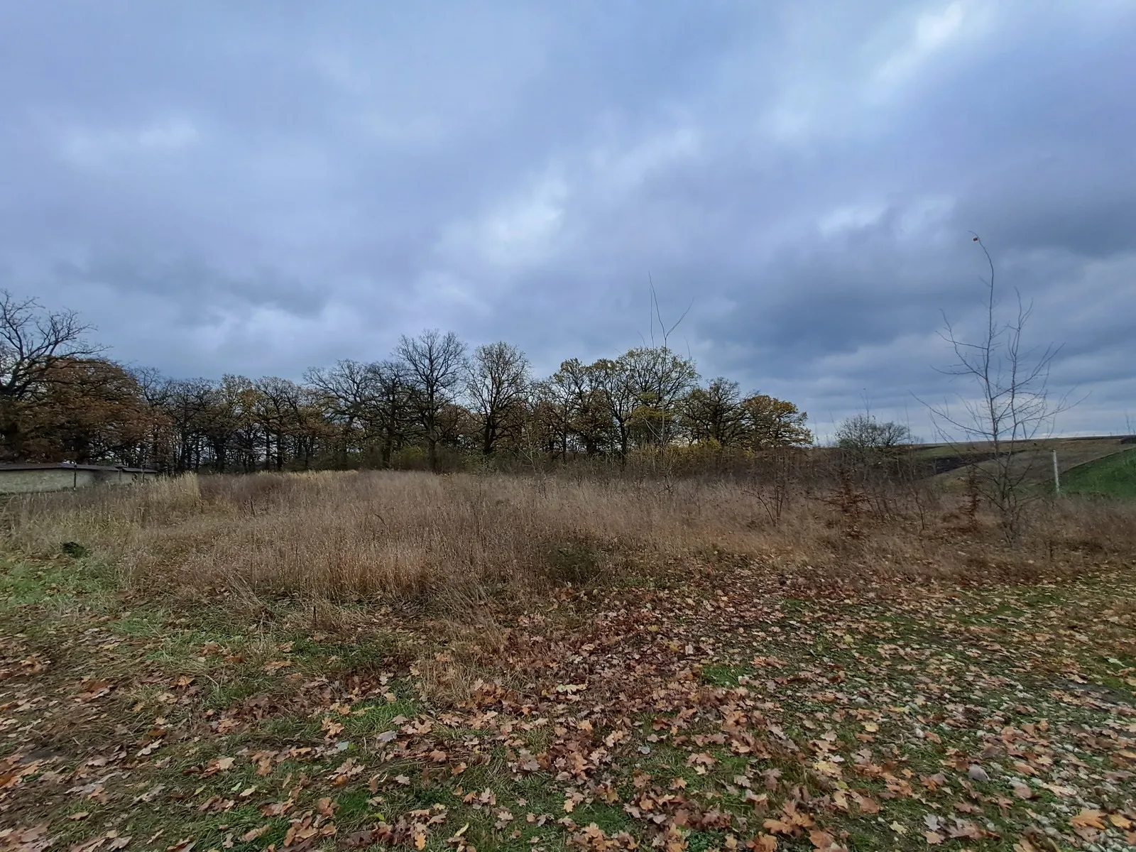 Land for sale for residential construction. Velykye Hay. 