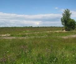 Land for sale for residential construction. Polevaya, Rohoziv. 