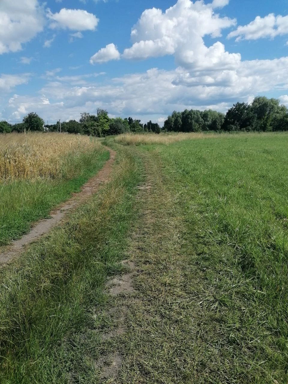 Продаж земельної ділянки в Рогозові