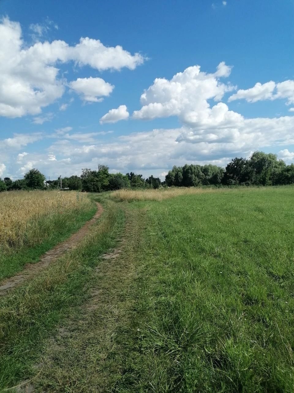 Продаж земельної ділянки в Рогозові