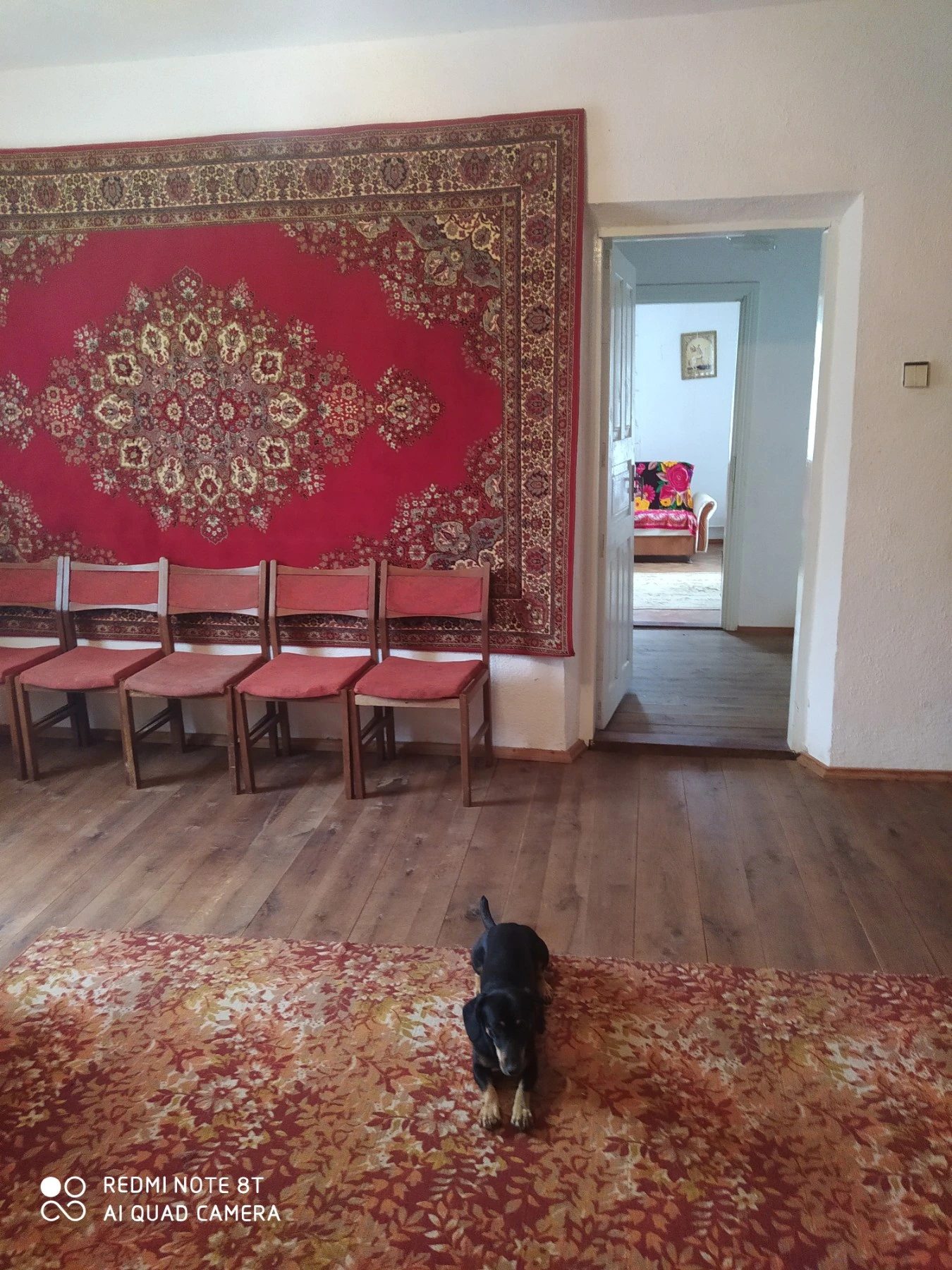 House for sale. 6 rooms, 100 m², 1 floor. Yuriya Burlaky, Penkivka. 