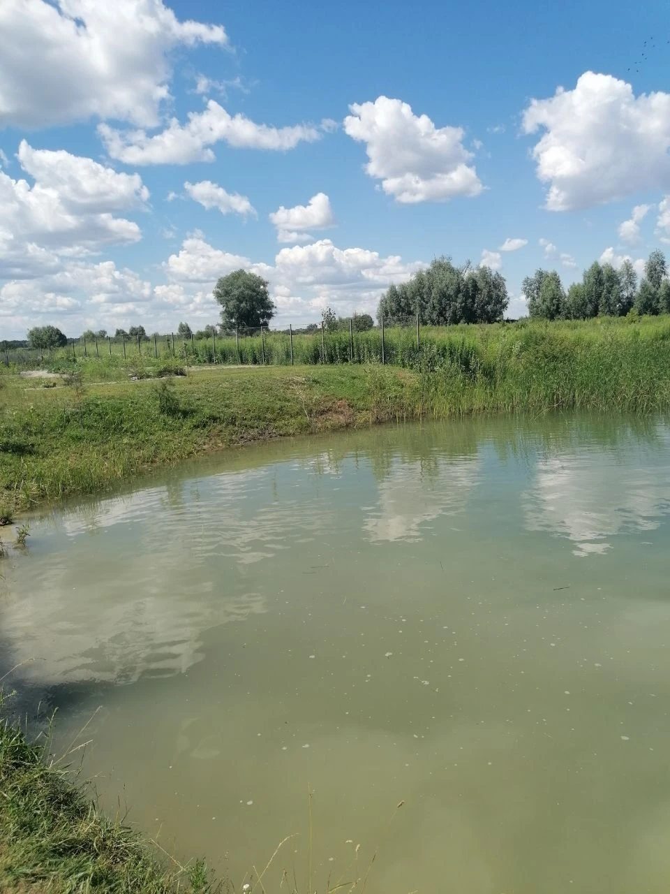 Продається земельна ділянка під житлову забудову в с. Горобіївка