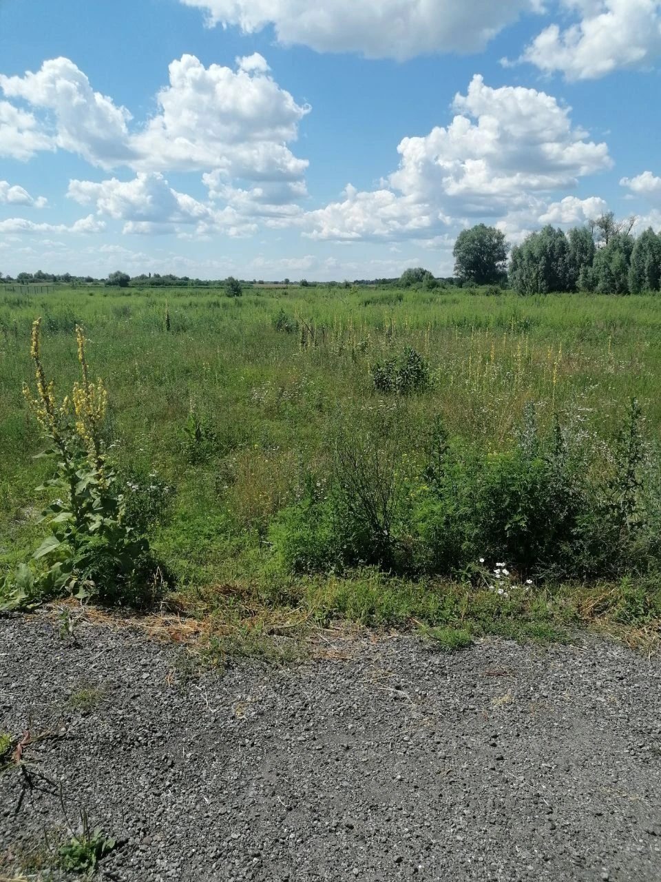 Продається земельна ділянка під житлову забудову в с. Горобіївка