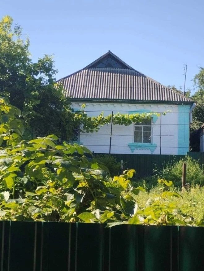 Продаж затишного будинка смт Ставище