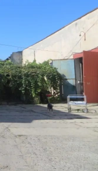 Property for sale for production purposes. 5 rooms, 7500 m². Peresyp, Odesa. 