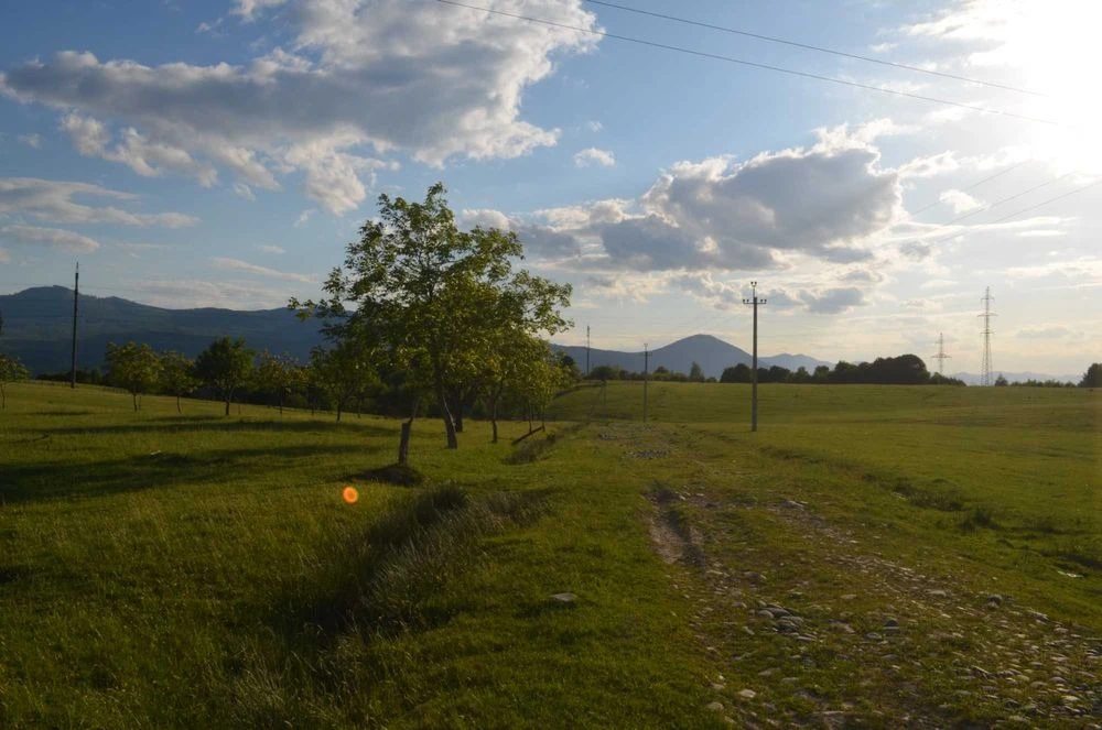 Agricultural land for sale for private use. Teresva. 