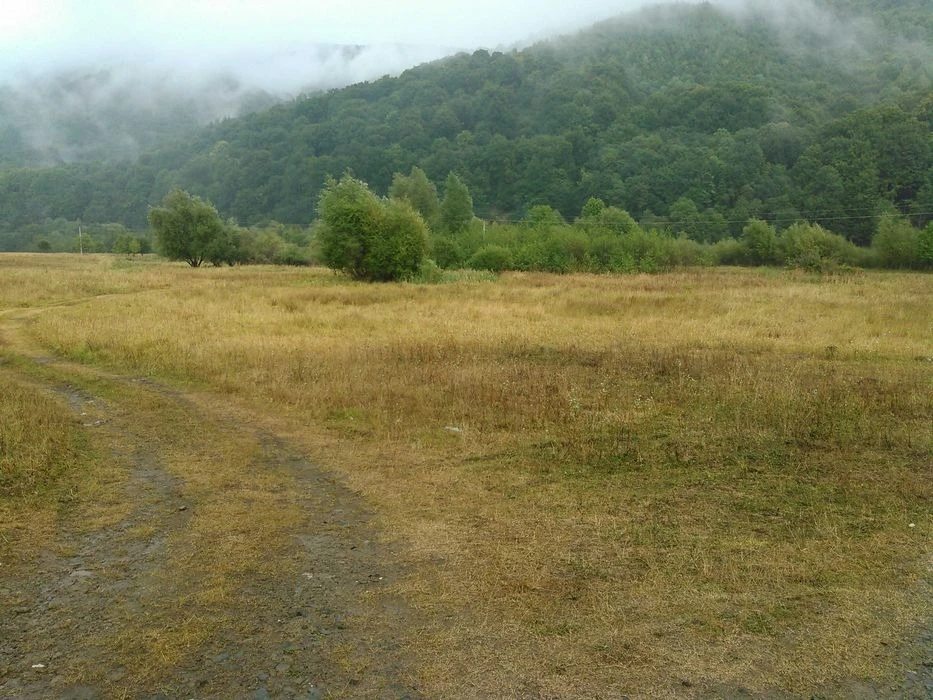 Agricultural land for sale for private use. Nelipyno. 