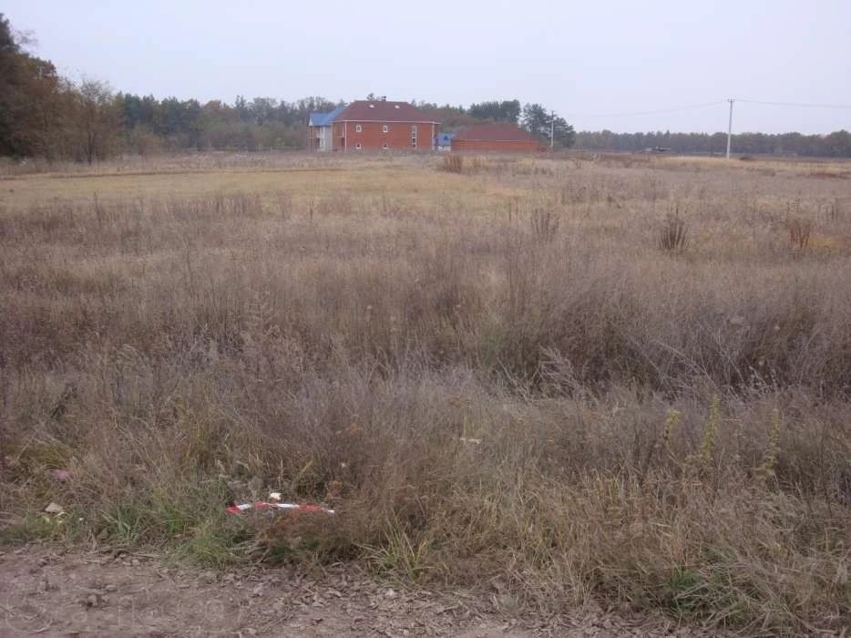 Land for sale for residential construction. Novosilky. 