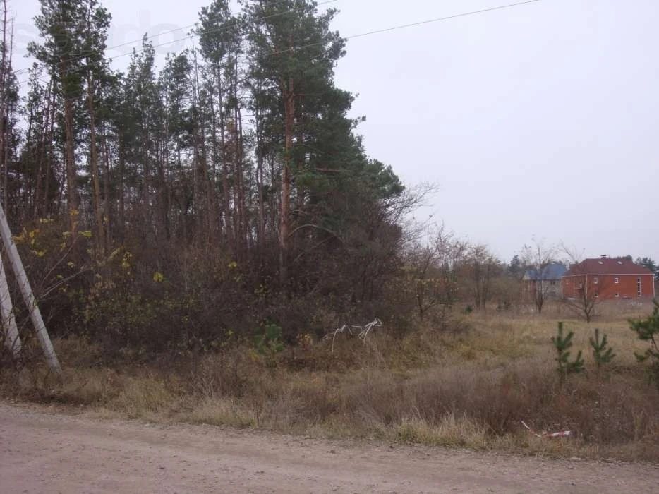 Land for sale for residential construction. Novosilky. 
