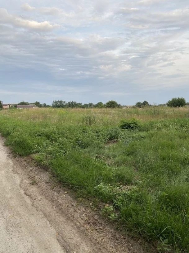 Land for sale for residential construction. Voronkiv. 