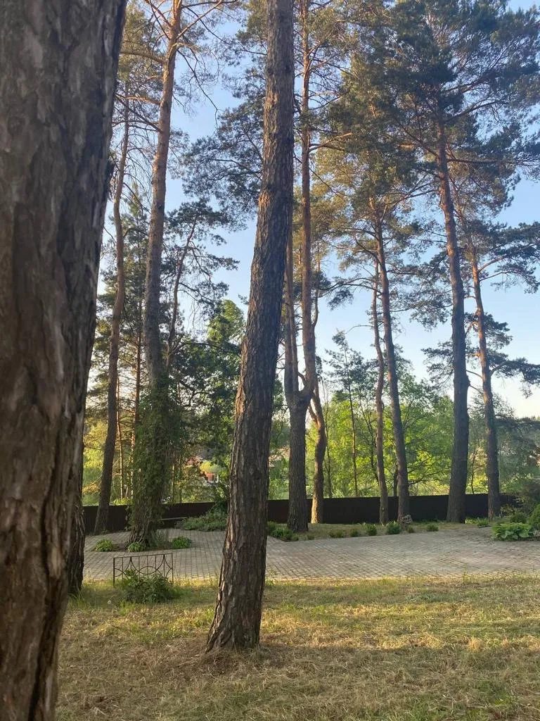Заміський будинок посеред соснового лісу в с. Березівка
