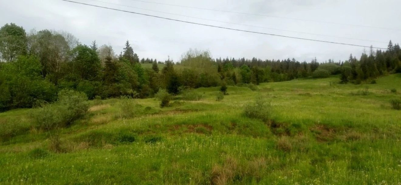 Agricultural land for sale for private use. Nyzhniy Studenyy. 