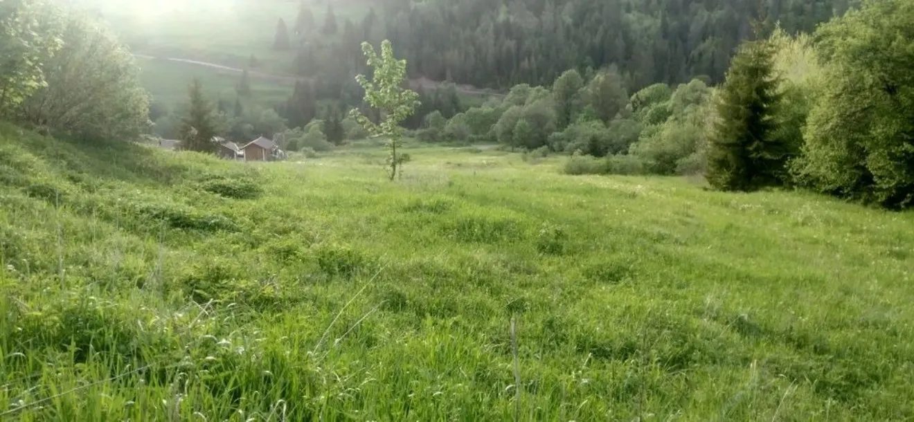 Agricultural land for sale for private use. Nyzhniy Studenyy. 