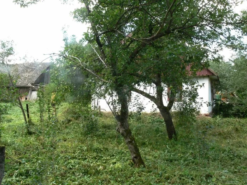Land for sale for residential construction. Konyukhiv. 